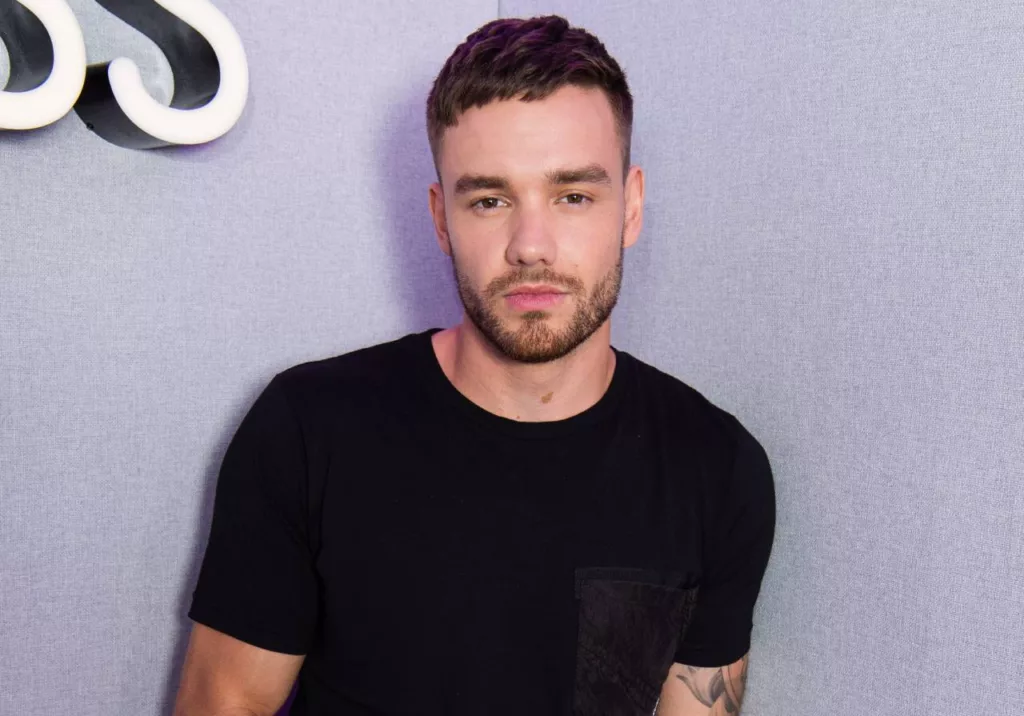 "Building the Band", el último proyecto de Liam Payne