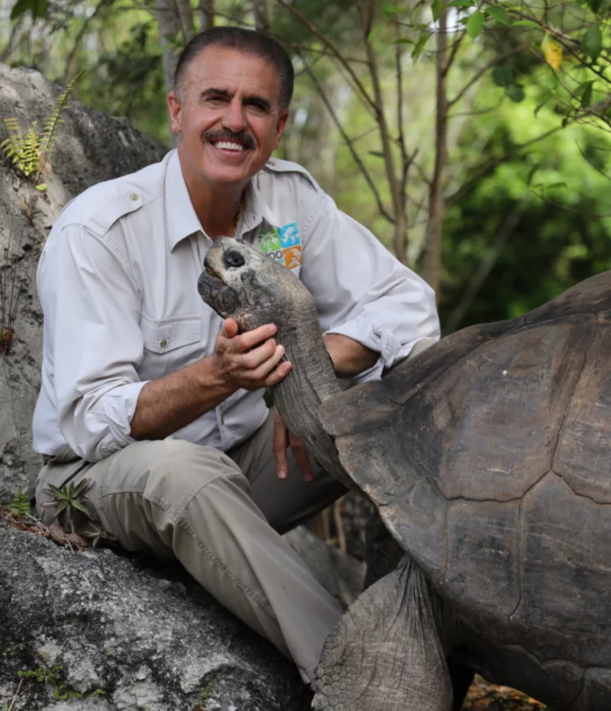 On this Fathers Day Zoo Miamis oldest animal will be celebrating his 135th birthday His name is Goliath and he is a Galapagos tortoise that weighs 517 pounds Up until this prior week he had no 15