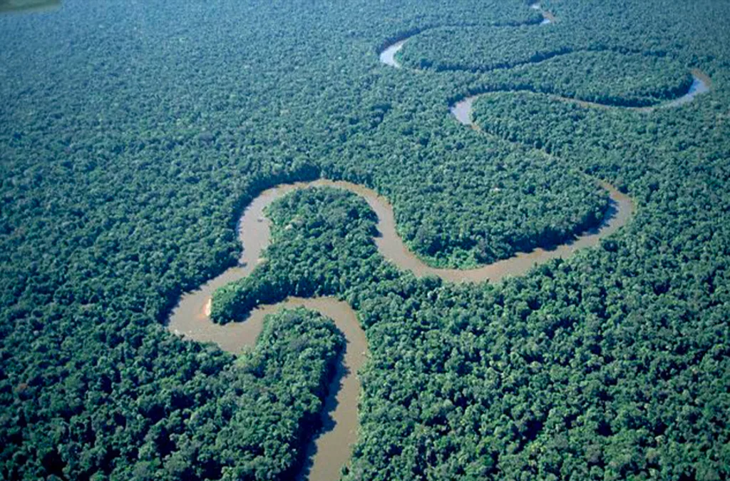 caimán del Orinoco