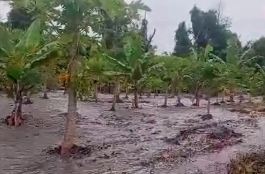 Tres municipios de Lara se vieron afectados por las lluvias