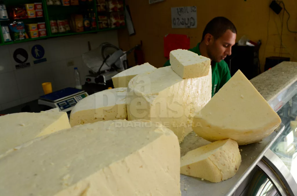 En la producción lechera de Venezuela, solo el 14% se destina a la industrialización