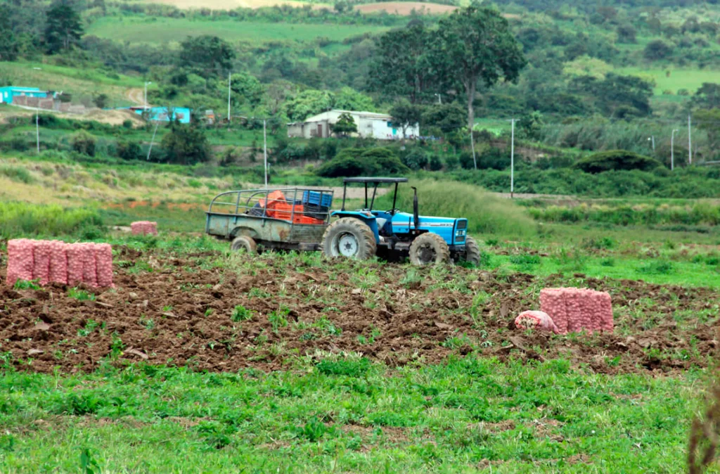 Productores agrícolas urgen créditos para renovar maquinaria
