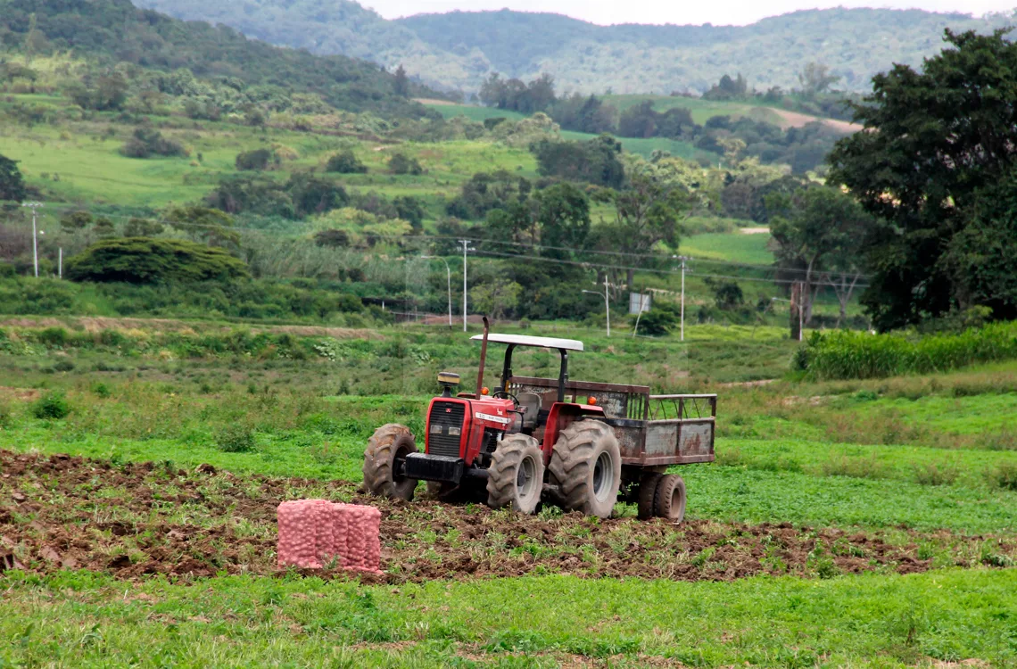 Productores agrícolas urgen créditos para renovar maquinaria