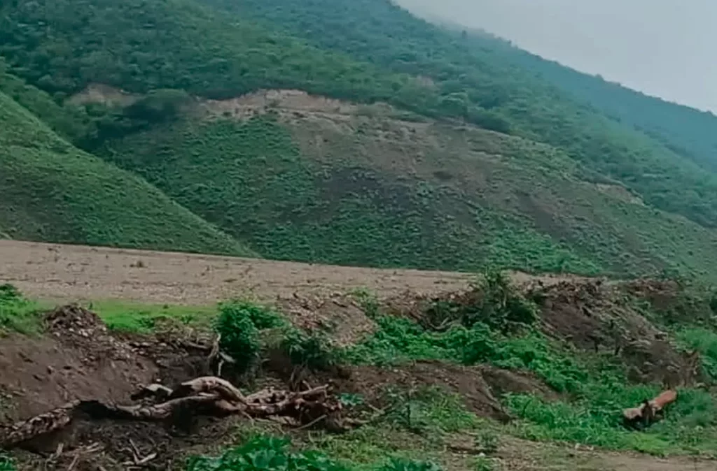 Alertan deforestación en el Bosque Titicare