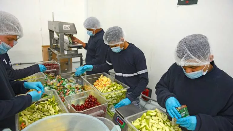 sector alimentos bebidas produccion 2021 enfoque VI217556 MG8955291