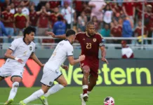 Vinotinto