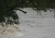 En el estado de Texas, EE.UU., se realiza una amplia operación de rescate
