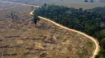 amazonas