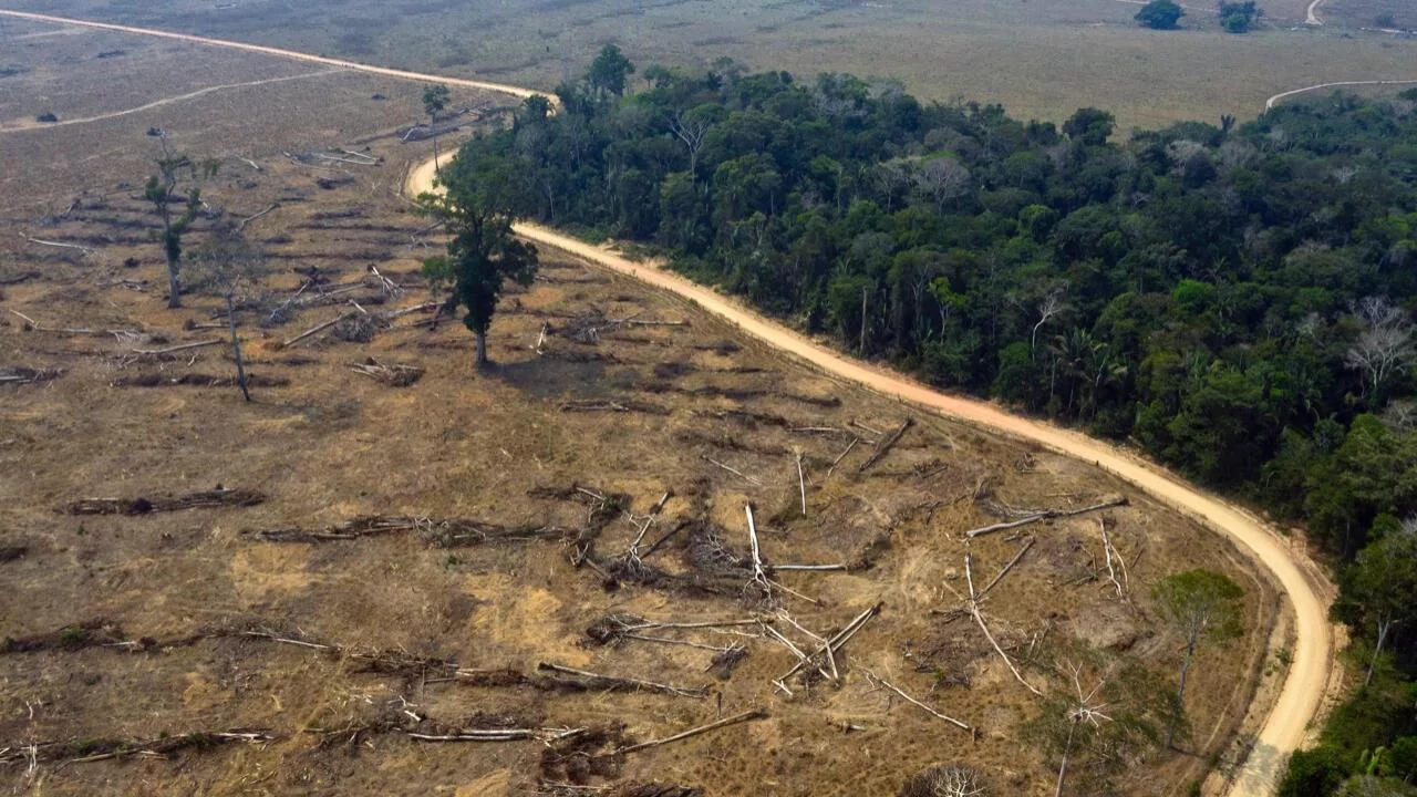 amazonas