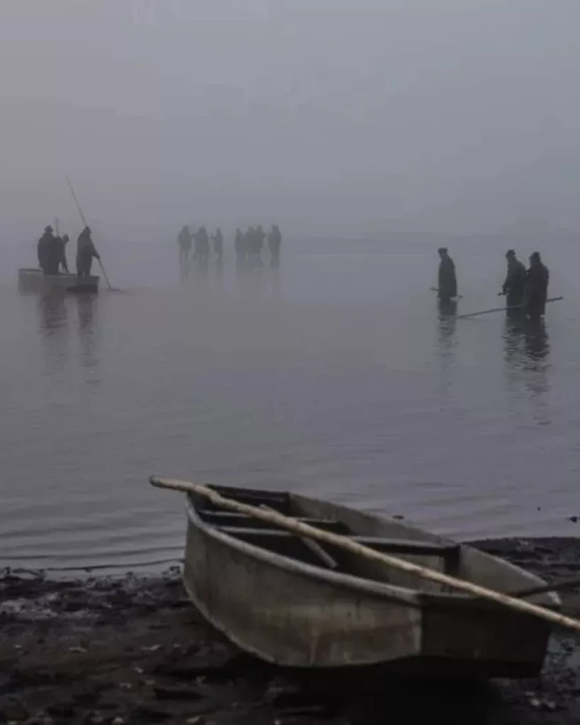 Lago checo sufre la muerte de miles de peces a causa de ola de calor