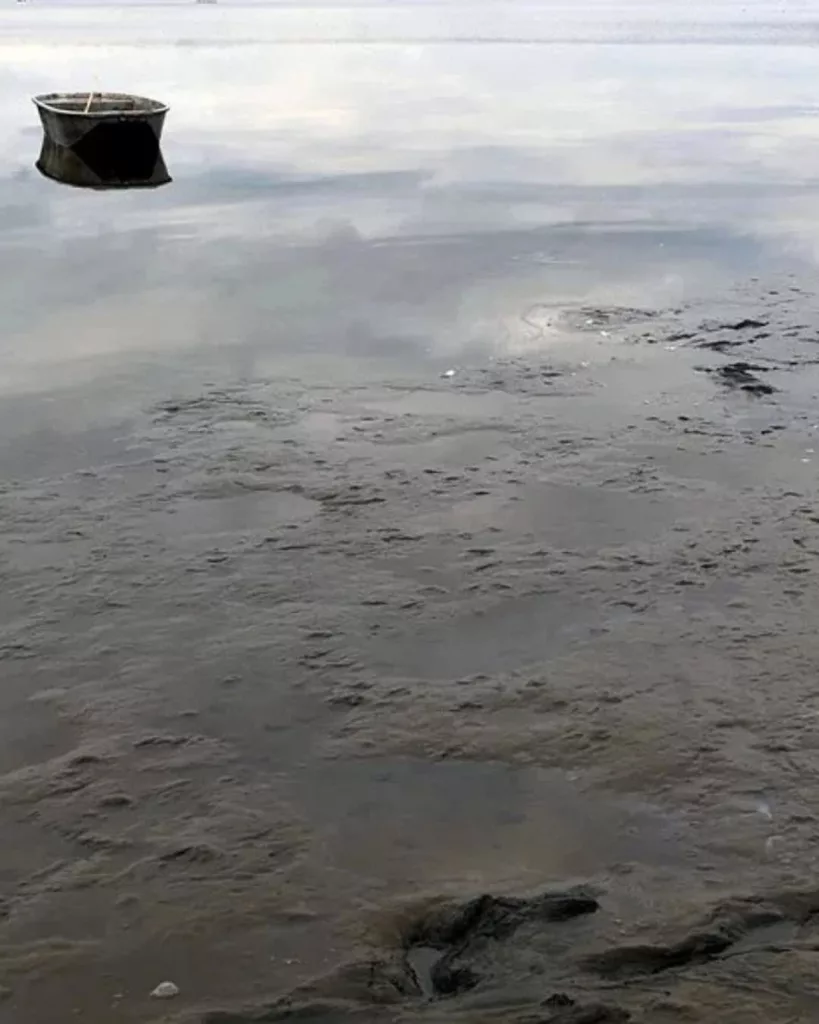 Lago checo sufre la muerte de miles de peces a causa de ola de calor