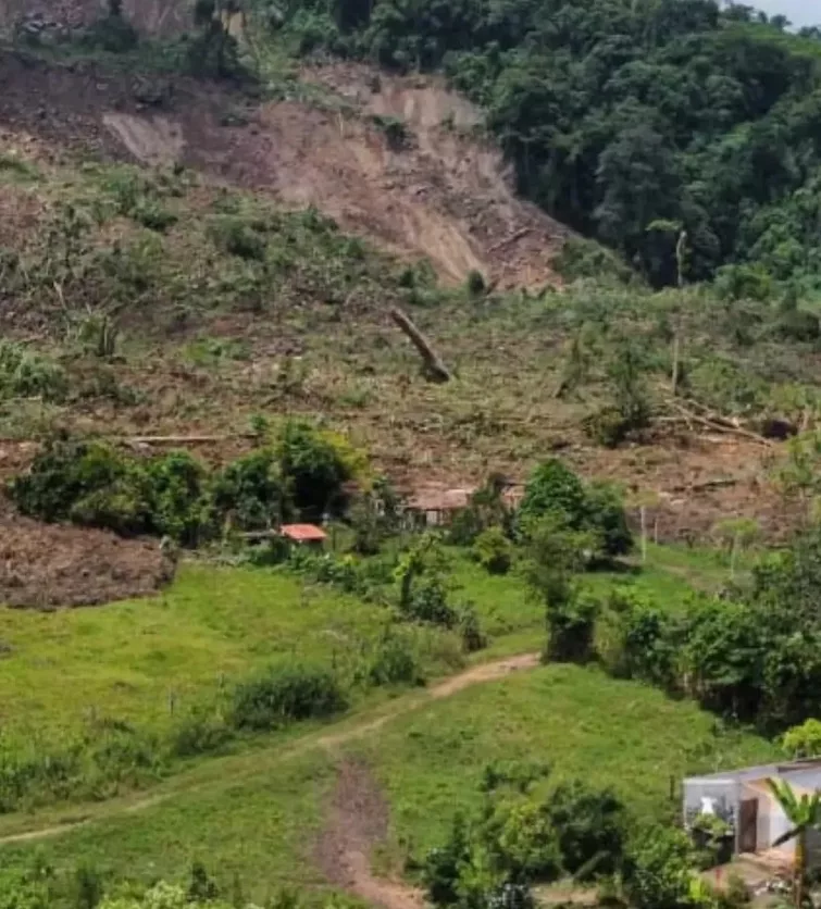 Masivo deslizamiento de tierra en la comunidad de La Valeria, ubicada en el estado Táchira.