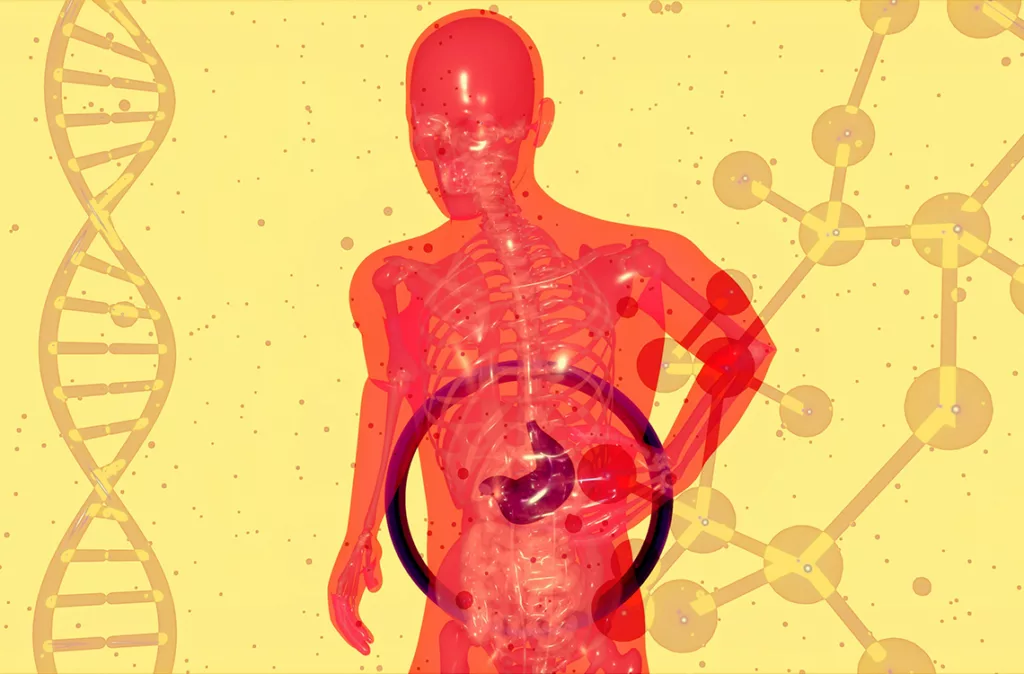 Intestino irritable es una afección más frecuente en mujeres