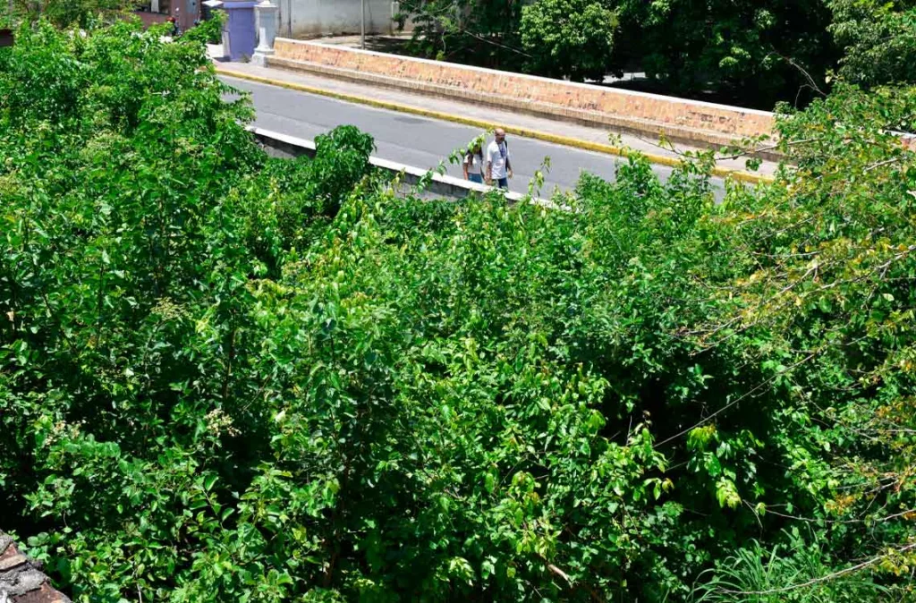  Zanjón del Parque Concha Acústica urge limpieza gubernamental