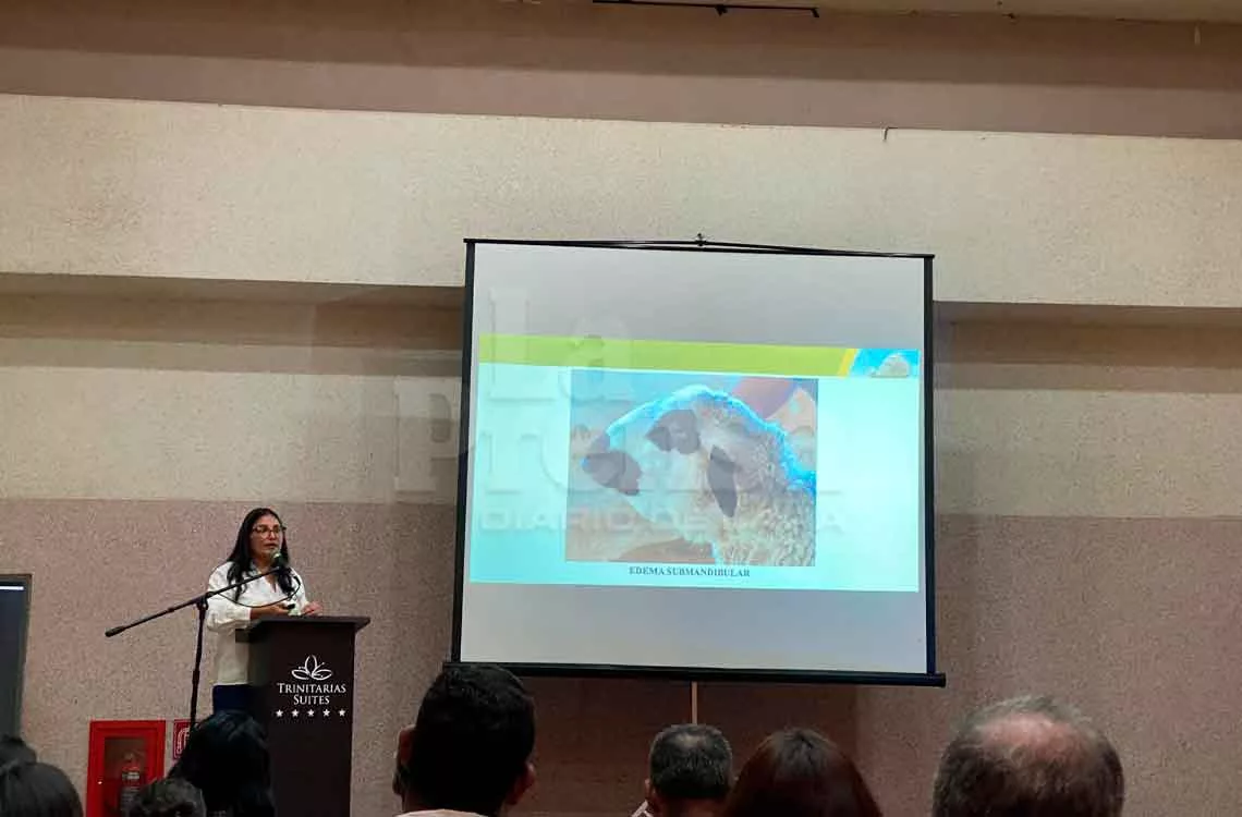 Veterinarios urgen a productores a combatir parásitos gastrointestinales en ovinos y caprinos