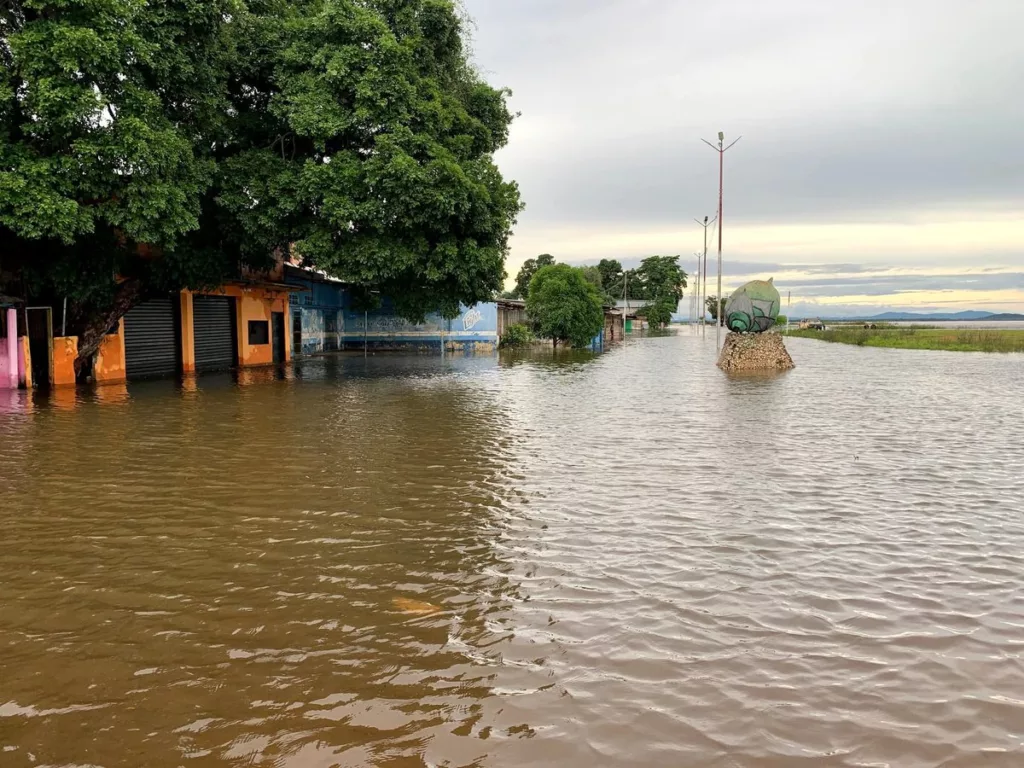 Río Orinoco desbordado