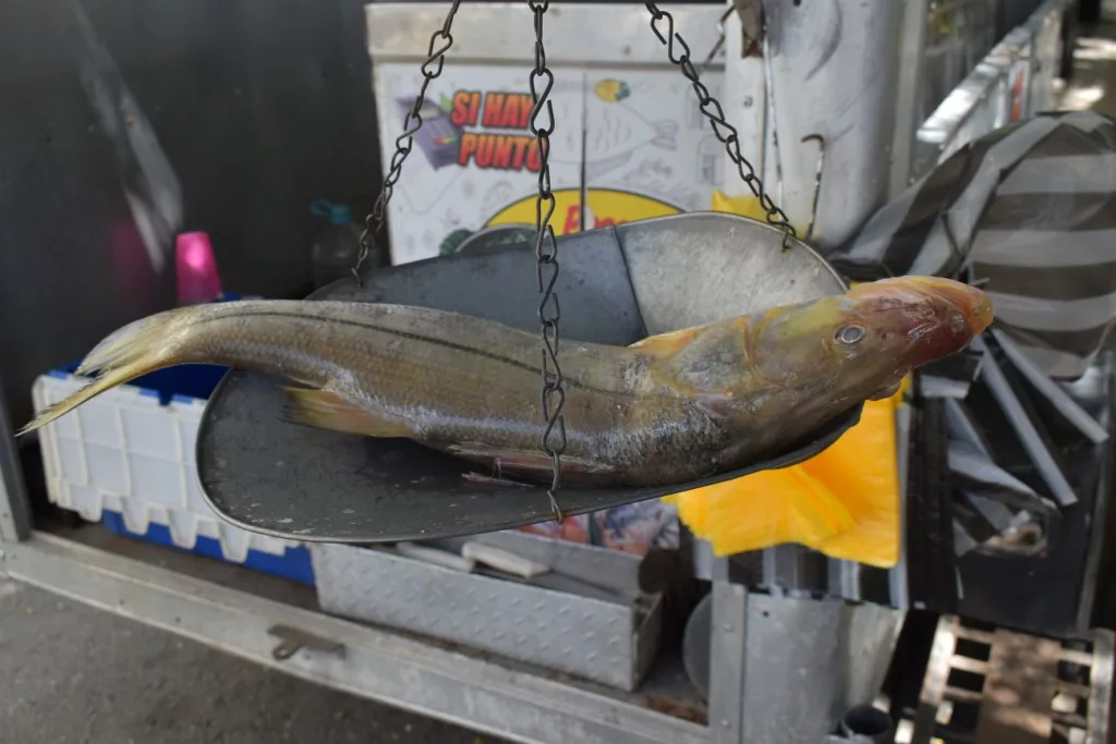 El consumo de pescado se ha mantenido en algunos larenses