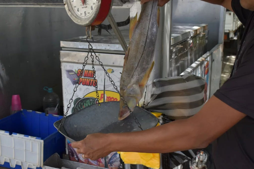 consumo de pescado pp 08 07 25 8
