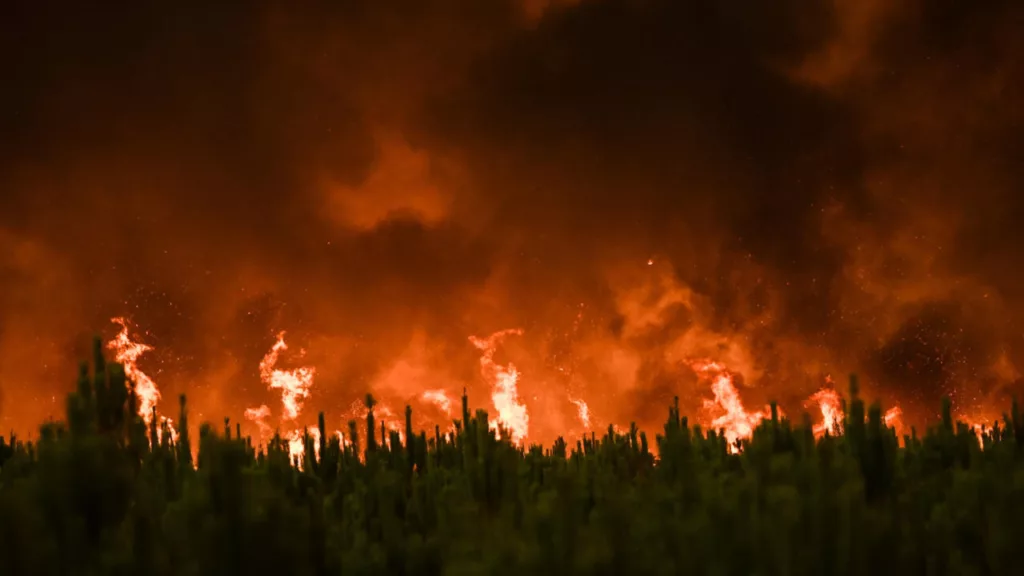 Incendio forestal en Francia dejan un fallecido y 13 heridos
