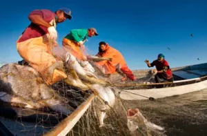 Anuncian reformas para formalizar la pesca continental en Venezuela