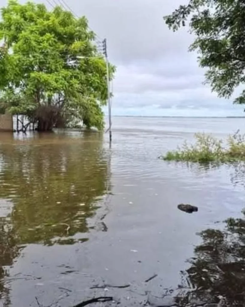 26Ago La crecida del rio Orinoco mantiene en emergencia al estado Bolivar donde mas de 7.90 2