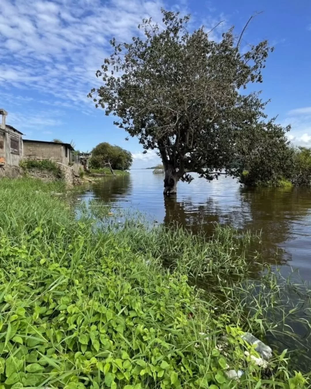 La crecida del Río Orinoco deja a más de 7.900 familias afectadas en Bolívar