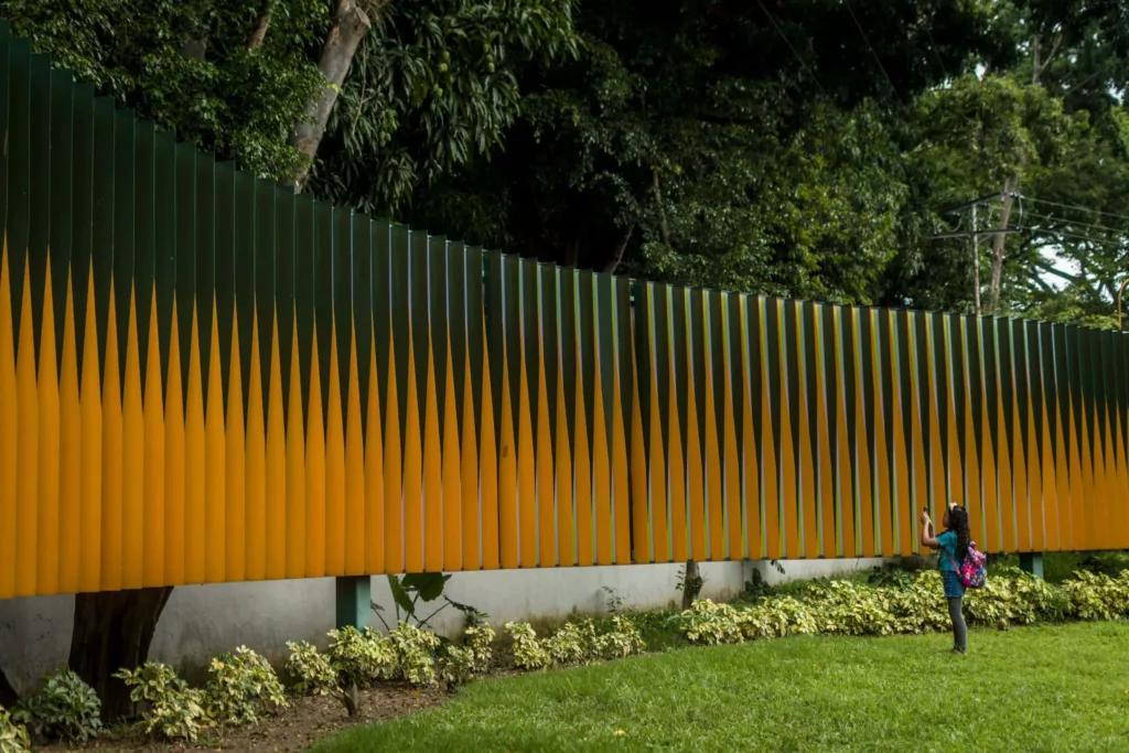 Carlos Cruz Diez