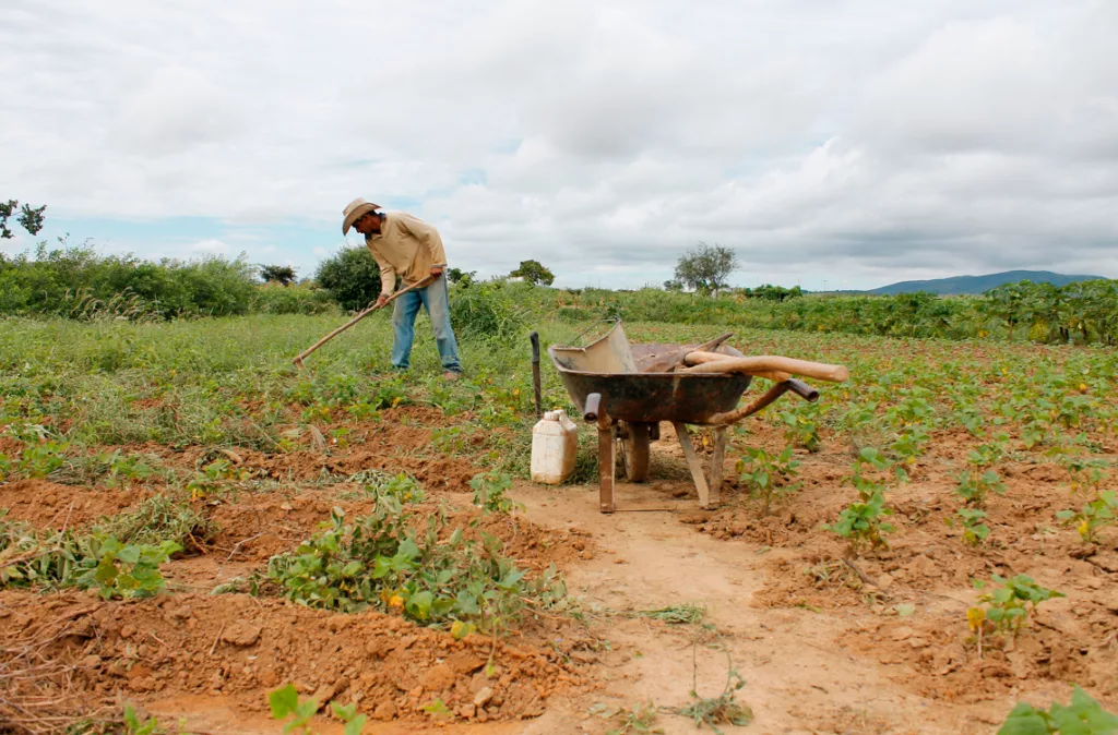 Agricultores y ganaderos de Los Andes y Llanos sin poder recuperarse de daños por lluvias