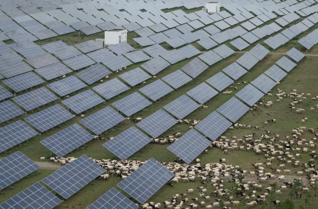 China bate récords en energía solar y logra disminuir sus emisiones de carbono