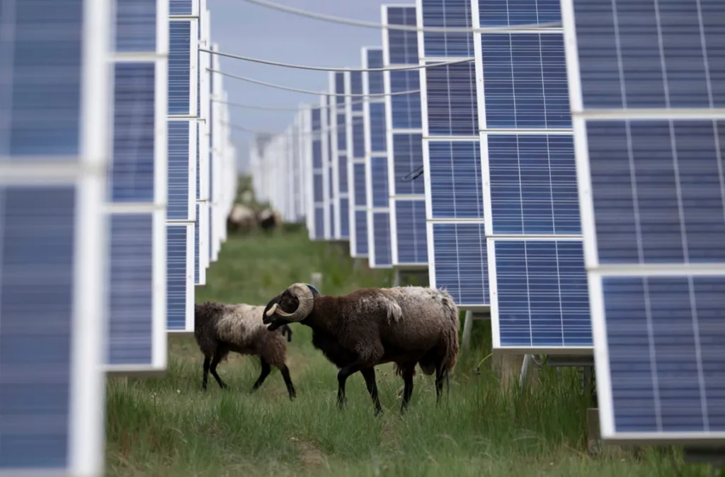 China bate récords en energía solar y logra disminuir sus emisiones de carbono