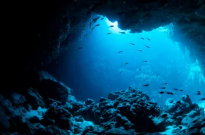 Estudio alerta que la falta de oxígeno en océanos pone en riesgo a los peces de profundidad