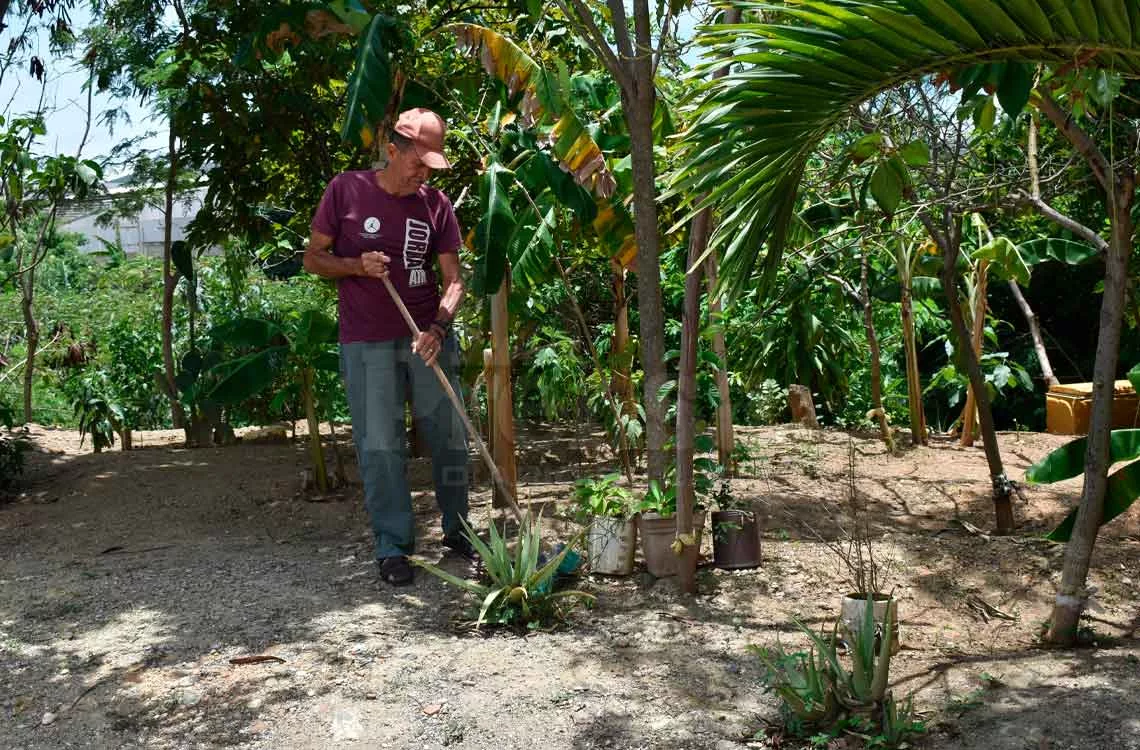 De la basura a la convivencia: Vecinos de Barquisimeto embellecen sus comunidades