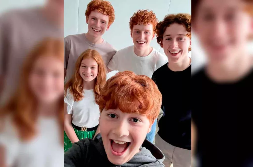La nueva serie de Harry Potter incluirá a un miembro de los Weasley que nunca apareció en las películas