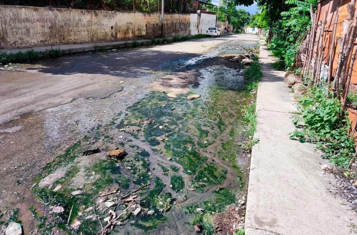 Barrio El Jebe en alerta: vecinos piden solución a desborde de aguas negras que causa enfermedades