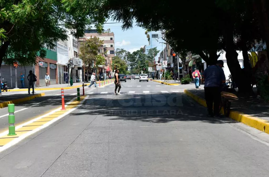 Sin señalización ni fiscalización: la ciclovía de la avenida 20 pone en riesgo a los ciclistas