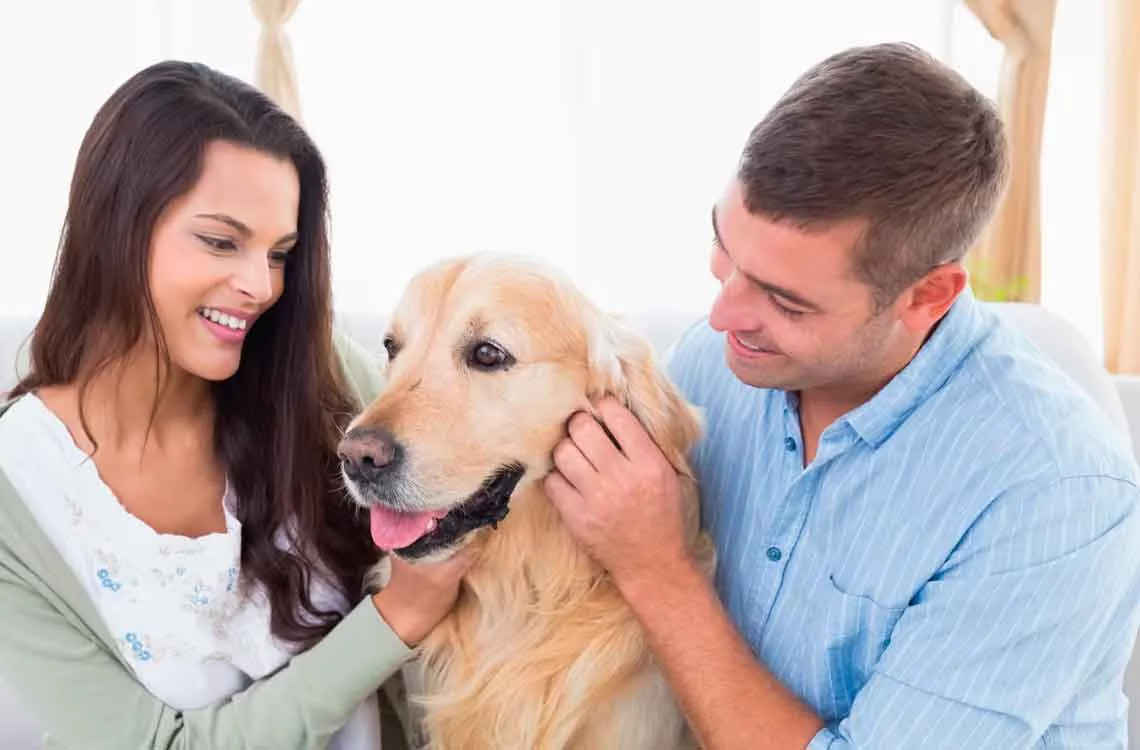 Ciudad de México aprueba la custodia compartida de mascotas en casos de divorcio
