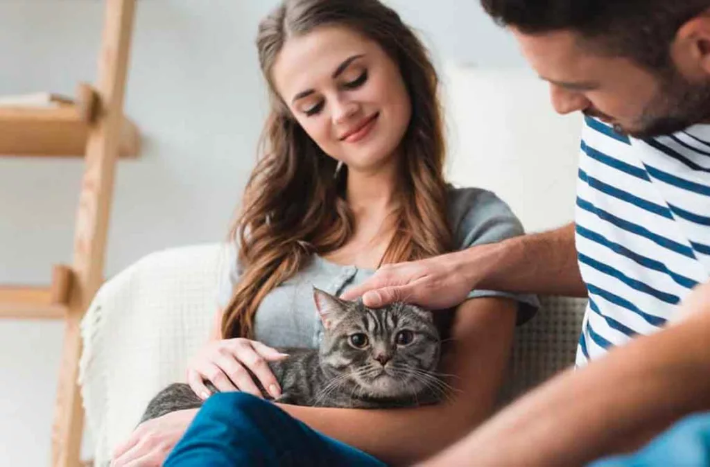 Ciudad de México aprueba la custodia compartida de mascotas en casos de divorcio