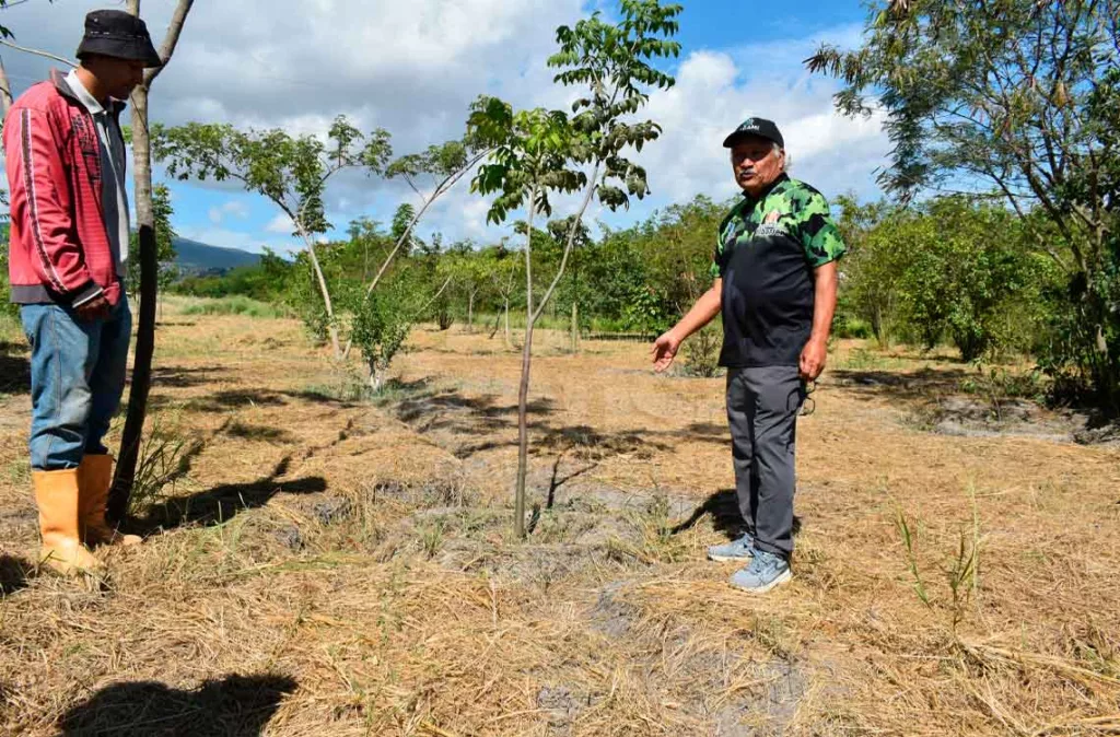 Ecologistas buscan restaurar el Valle del Turbio de Barquisimeto y su corredor verde