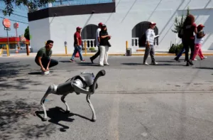 Un perro robot con IA lucha por los derechos de los animales en México