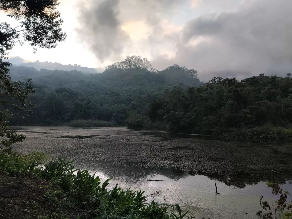 Buscando preservar el hábitat del oso frontino: Inicia plan de monitoreo en el Parque Nacional Yacambú