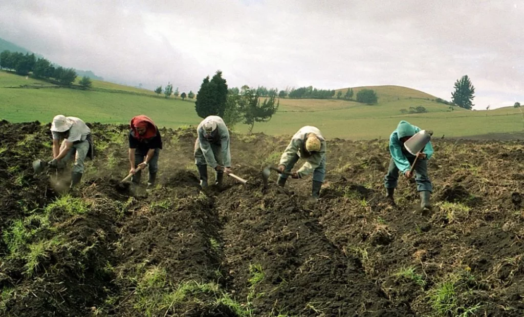 agricultores.jpg 571636974