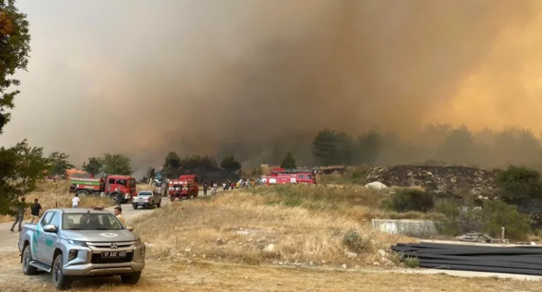 Gran incendio forestal afecta a la provincia turca de Çanakkale