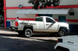 Abuelo de 83 años fallece al caerle un árbol encima en Yaracuy