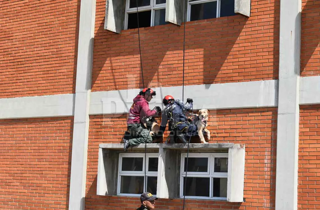 Simulacro de desastres naturales en Barquisimeto 