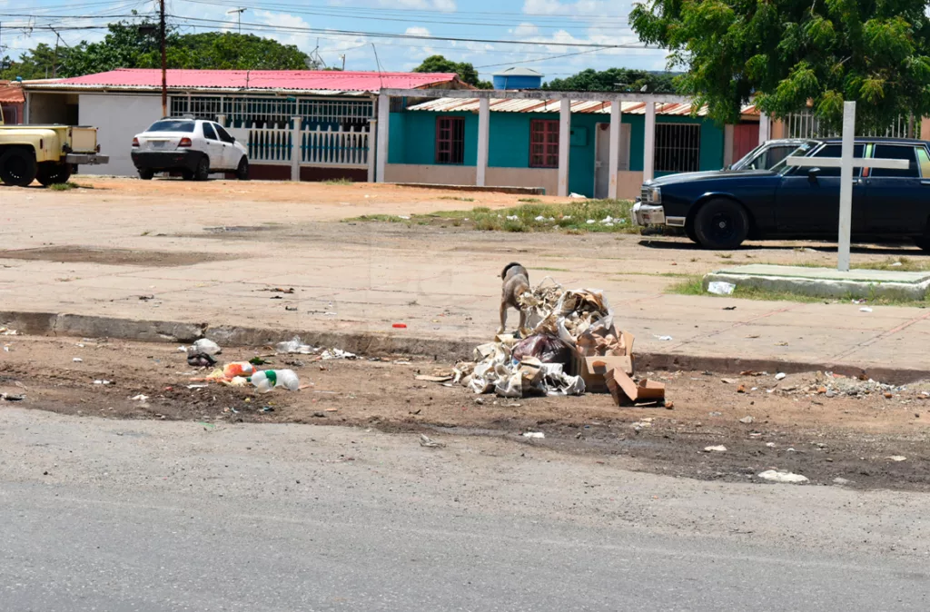 Habitantes de La Carucieña urgen mejorar vialidad 