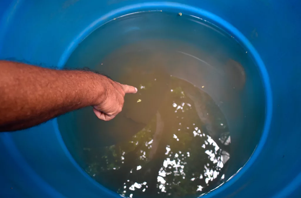 Ley de protección del agua: Un esfuerzo conjunto entre ambientalistas y el gobierno