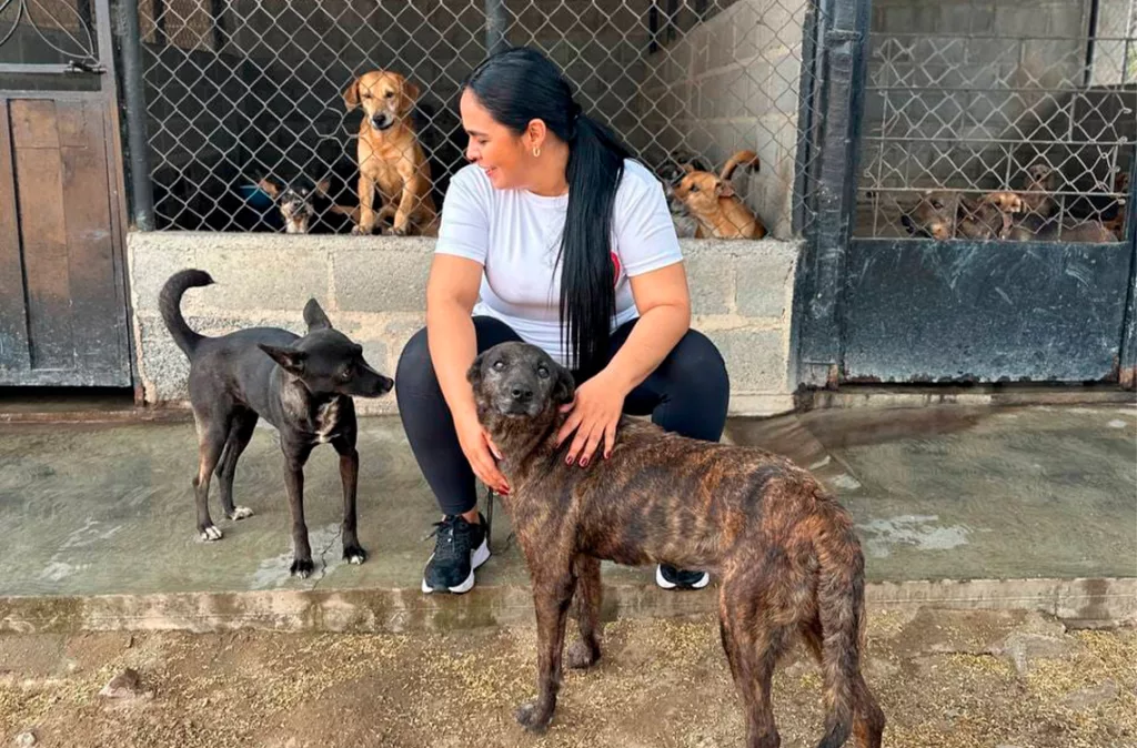 Proteccionistas preocupados por abandono de animales