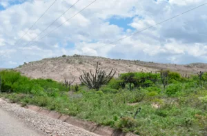 Semiárido larense: ambientalistas proponen sectorización para restaurar los suelos