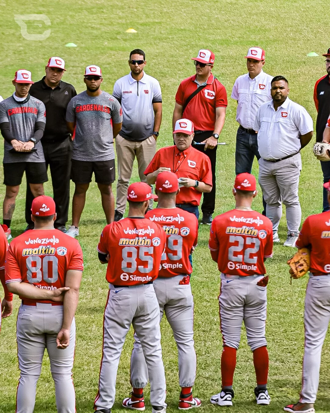 Cardenales de Lara