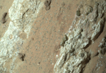 La NASA anuncia posible evidencia de vida antigua en Marte